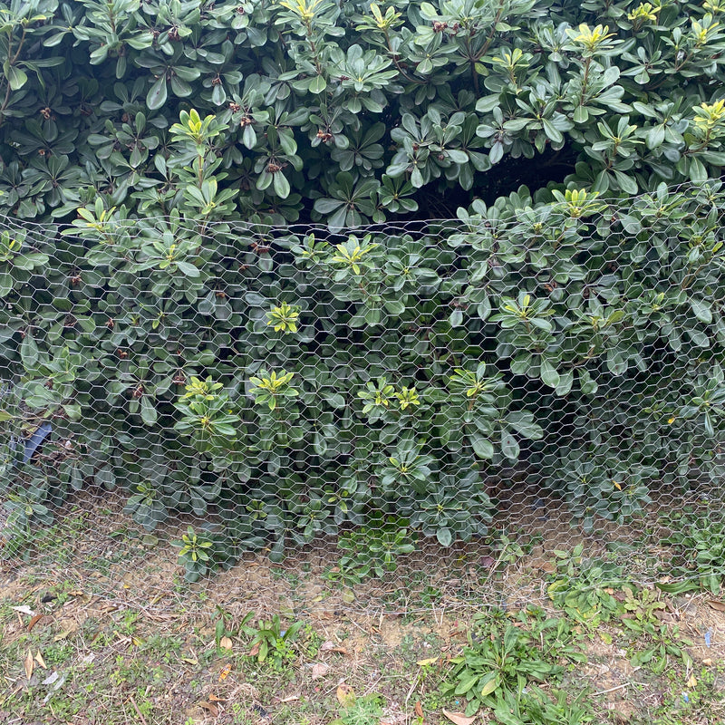 40IN X 50feet Galvanized Chicken Wire Net, Lightweight Galvanized Hexagonal WireFence