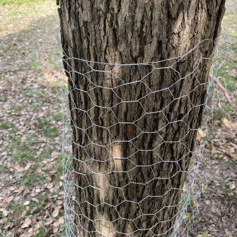 40IN X 50feet Galvanized Chicken Wire Net, Lightweight Galvanized Hexagonal WireFence