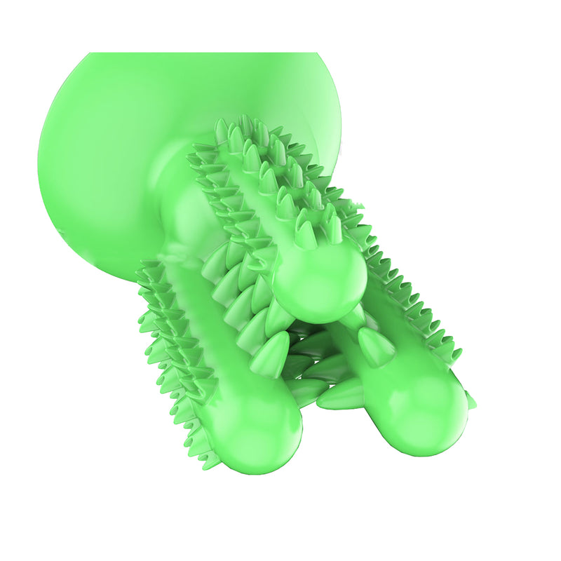 Dog Toothbrush Chew Toys for Aggressive Chewers