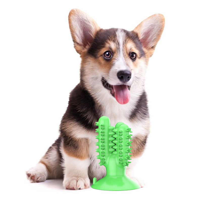 Dog Toothbrush Chew Toys for Aggressive Chewers