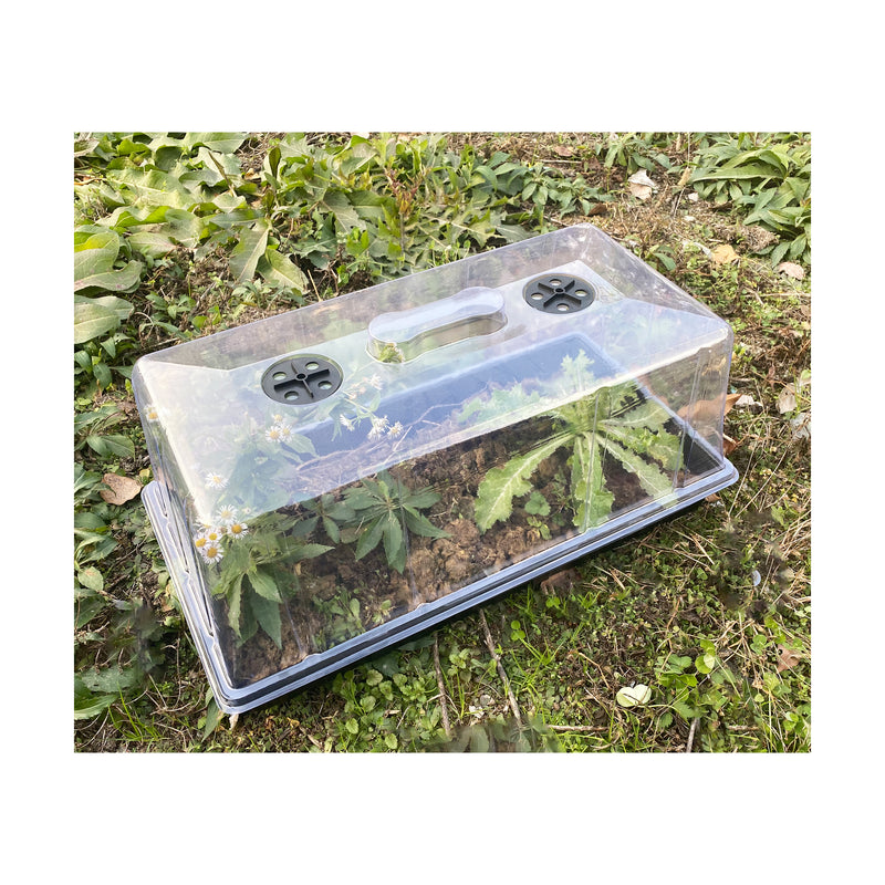 HYDROPONIC DEPOT Humidity Dome 6" Tall Extra Strength, 5 Pack, Propagation Seed Cloning Lid