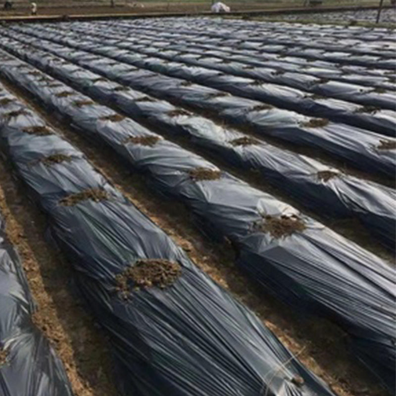 HYDROPONIC DEPOT Black Plastic Sheeting Roll 6 Mil